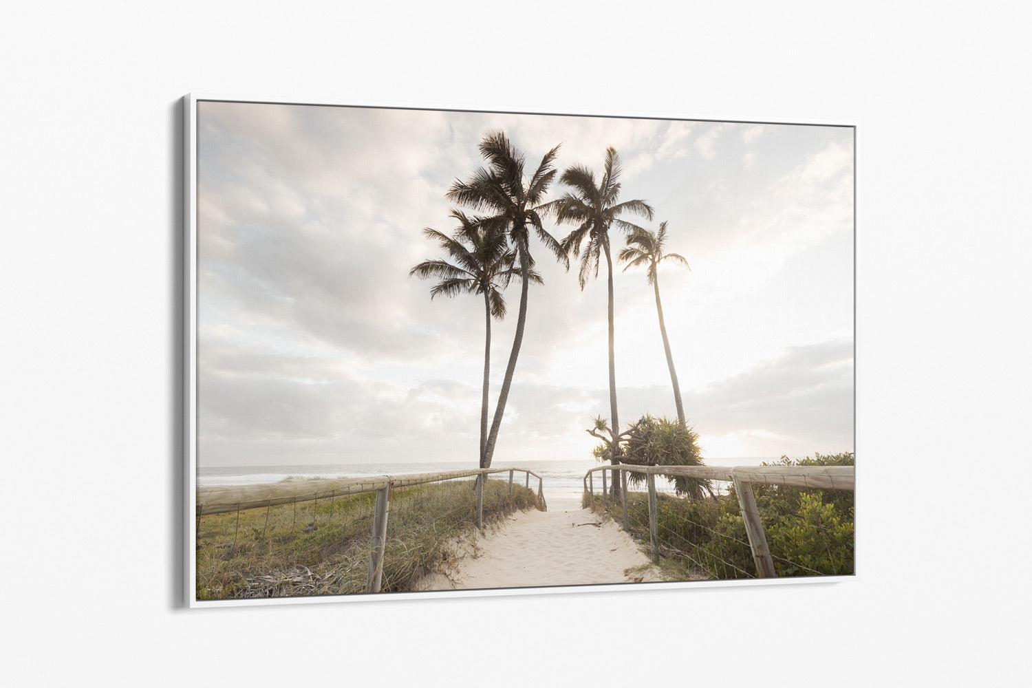 Float Frame Canvas White Palm Trees