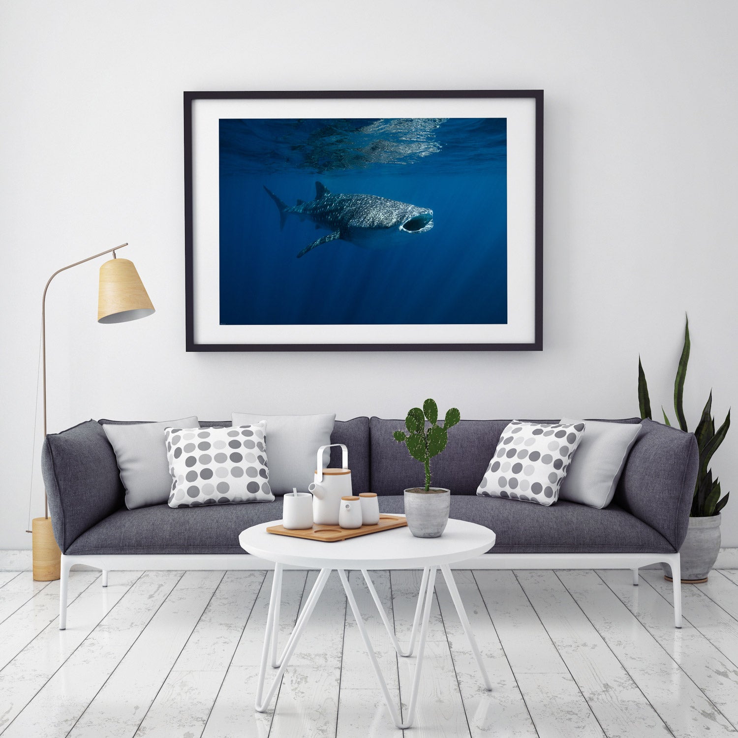 Whale Shark Print - Open Wide