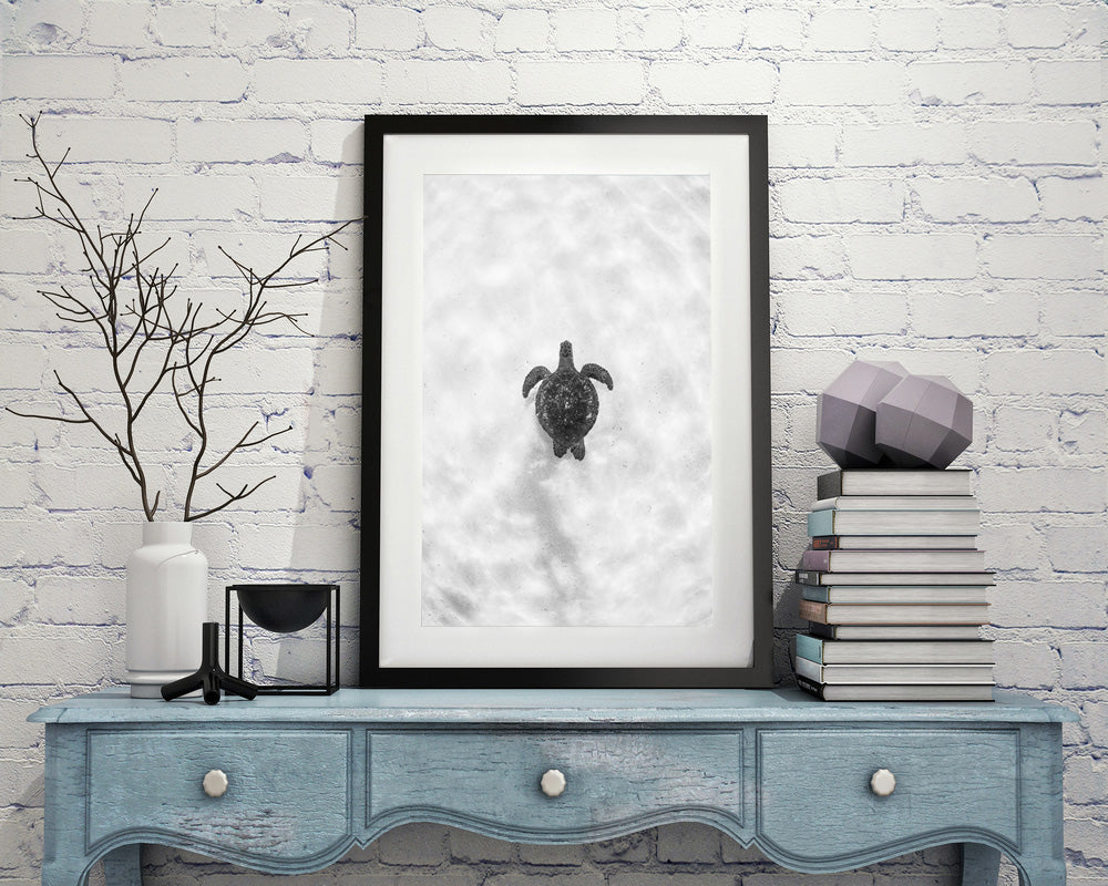 Black Shadowbox frame with Turtle art