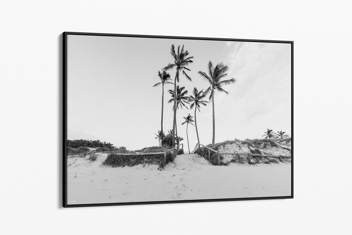 Palm Tree Canvas Print in black frame