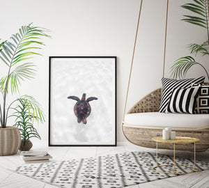 Black Shadowbox frame with Turtle Print