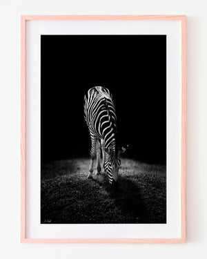 Black And White Wall Art Zebra Print
