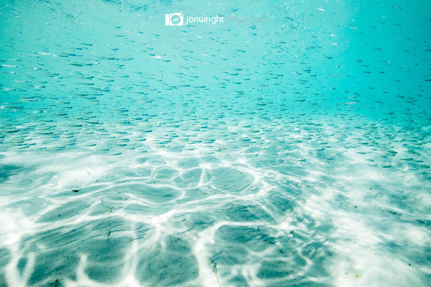 Tallebudgera Creek – Swimming and Snorkelling on the Gold Coast