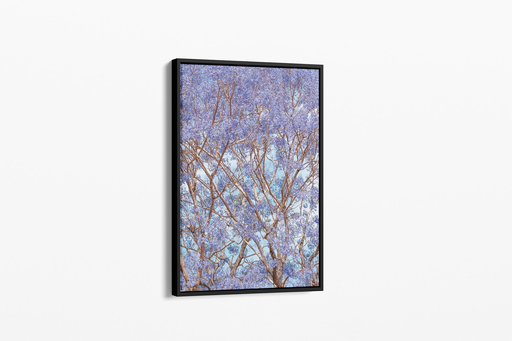 Trumpet Bloom - Canvas Float Frame Black
