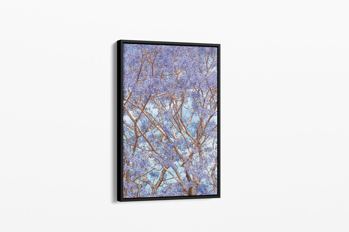 Violet Canopy - Canvas Float Frame Black