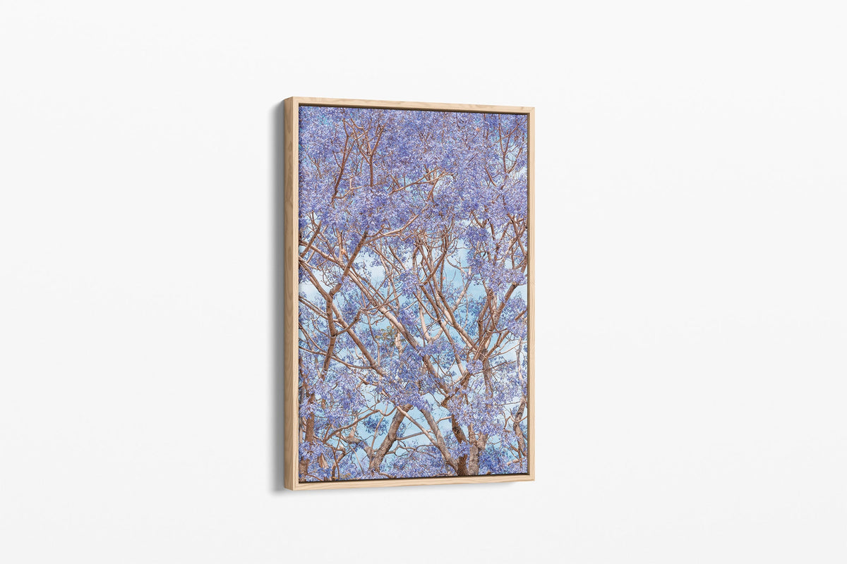 Violet Canopy - Canvas Float Frame Oak
