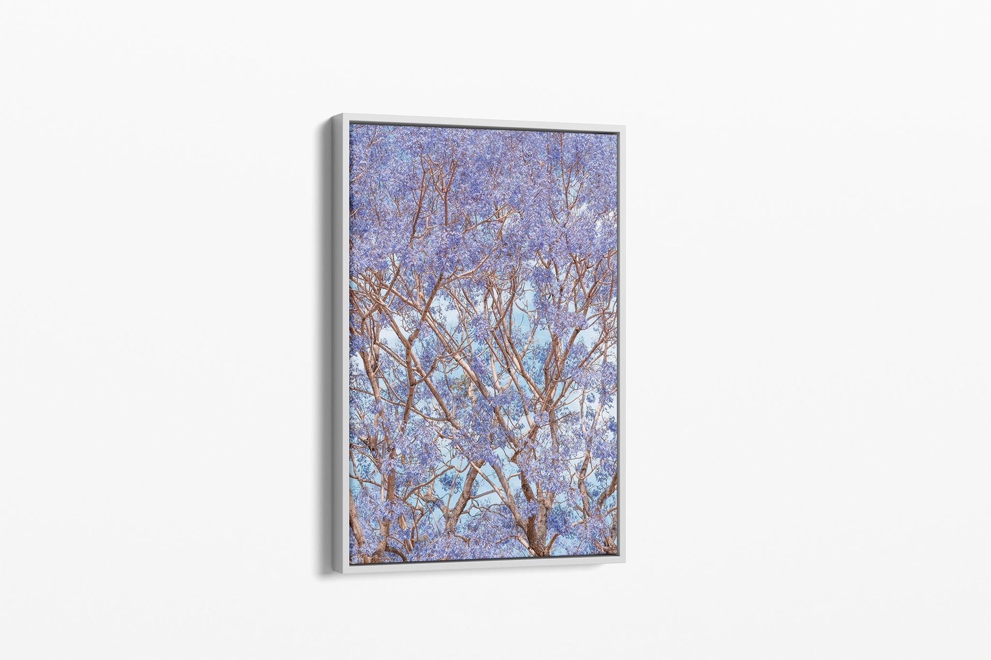 Trumpet Bloom - Canvas Float Frame White