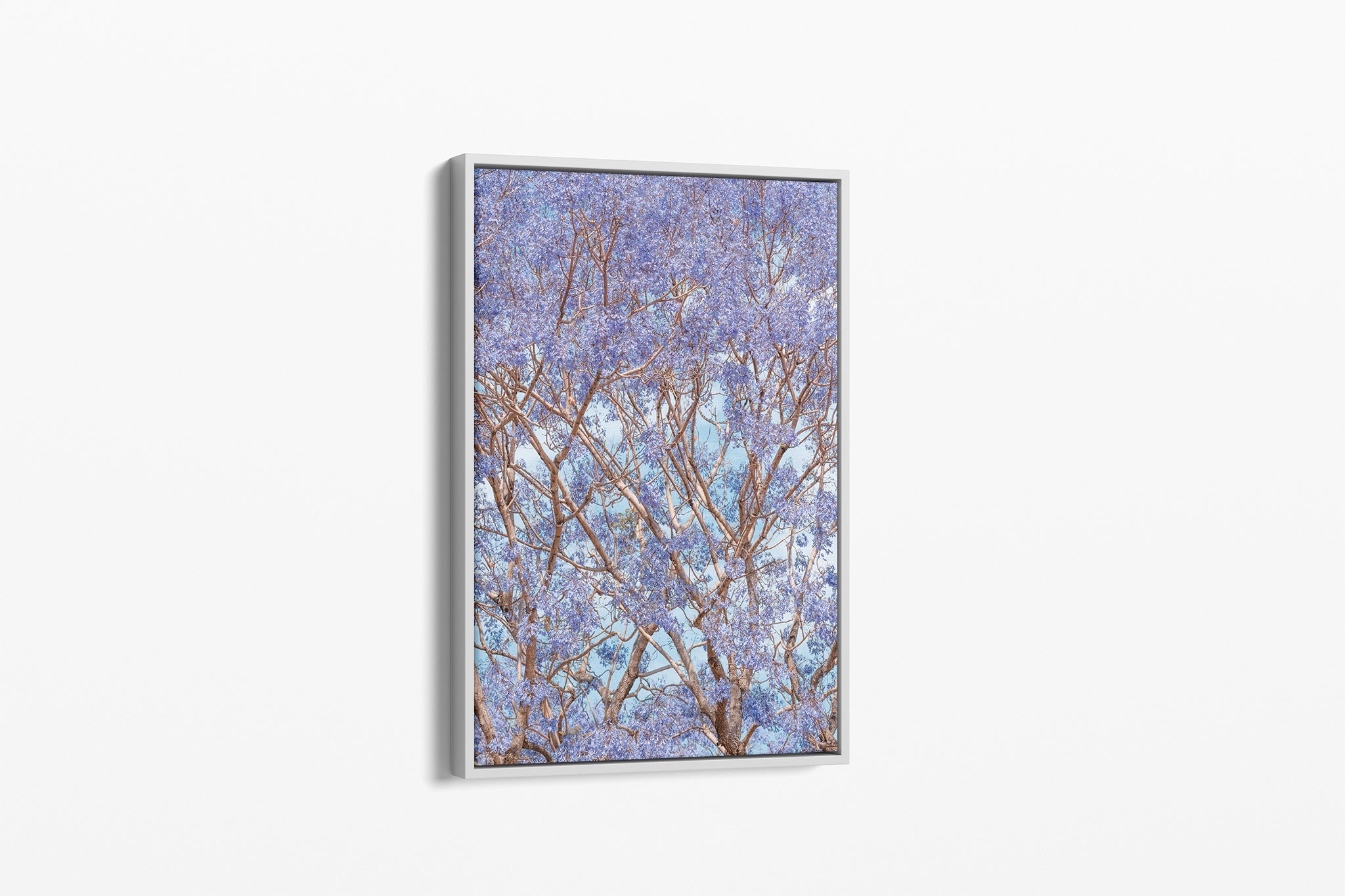Trumpet Bloom - Canvas Float Frame White