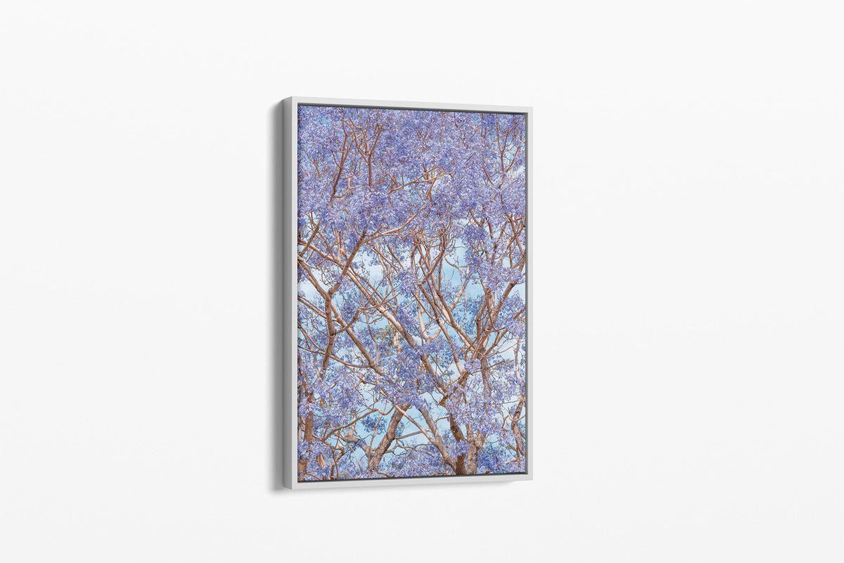 Violet Canopy - Canvas Float Frame White