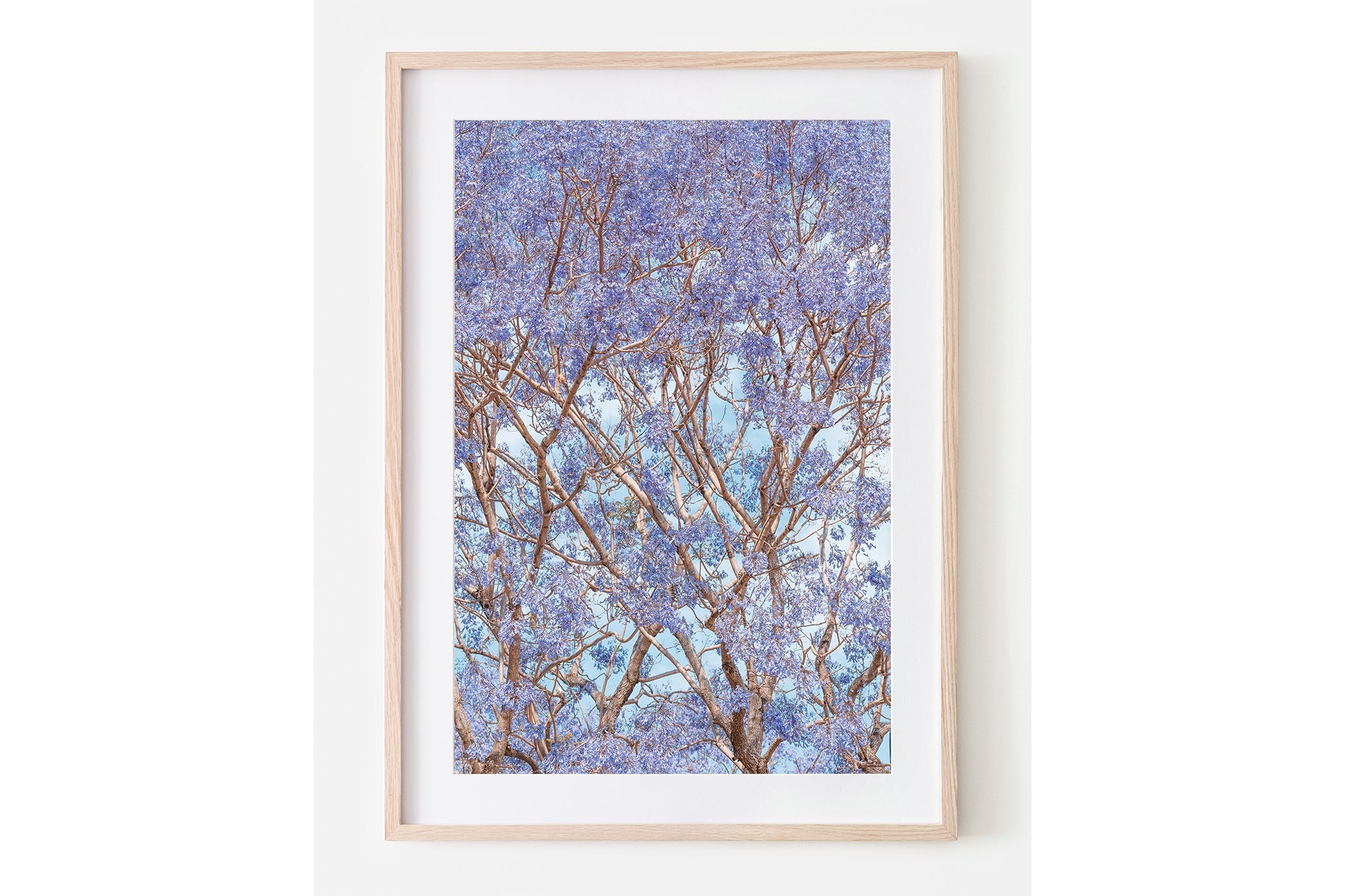 Trumpet Bloom - Oak Framed Print