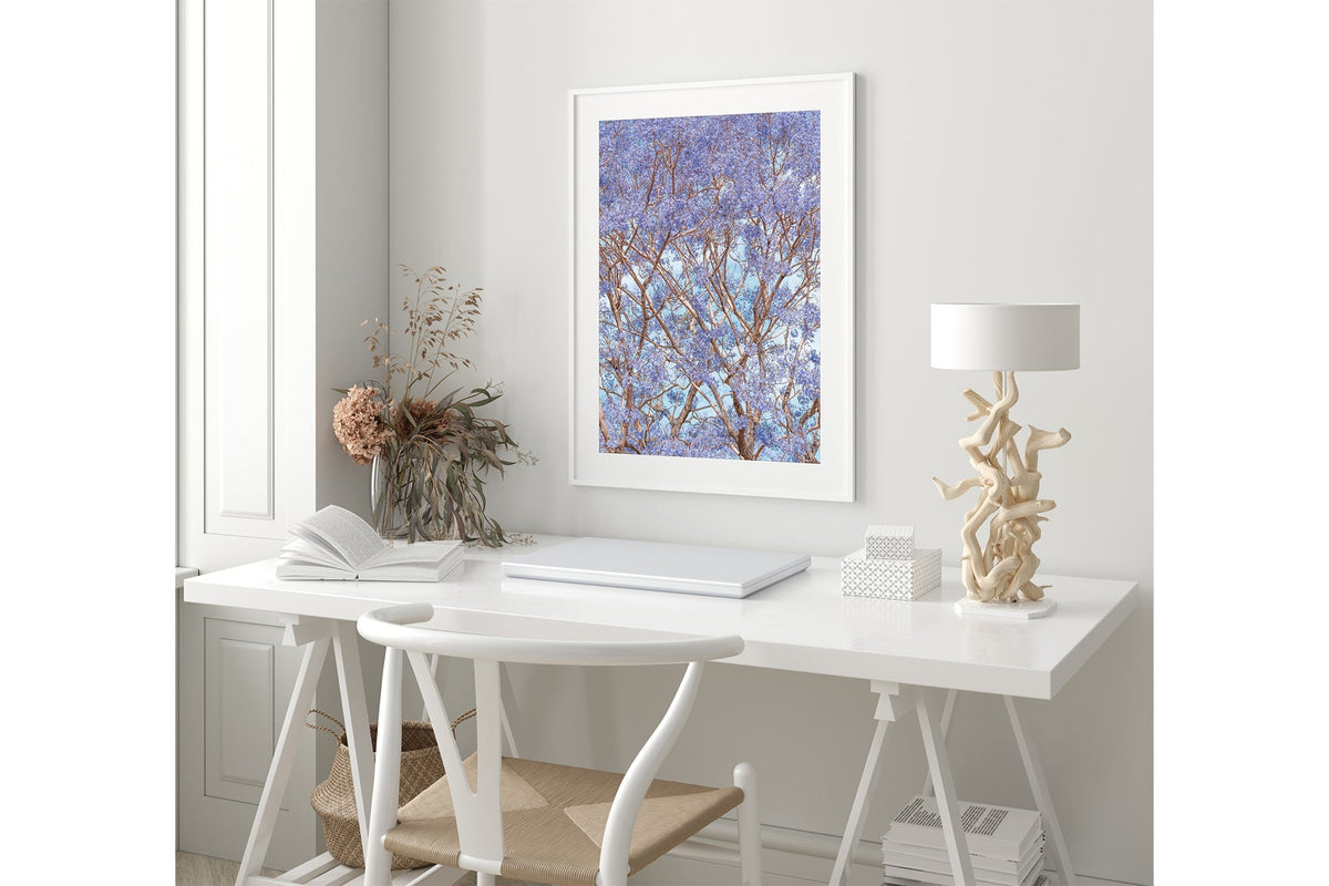 Trumpet Bloom - White Frame Coastal