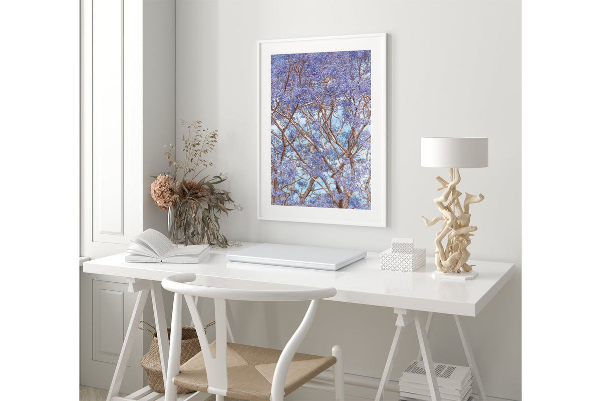 Violet Canopy - White Frame Coastal