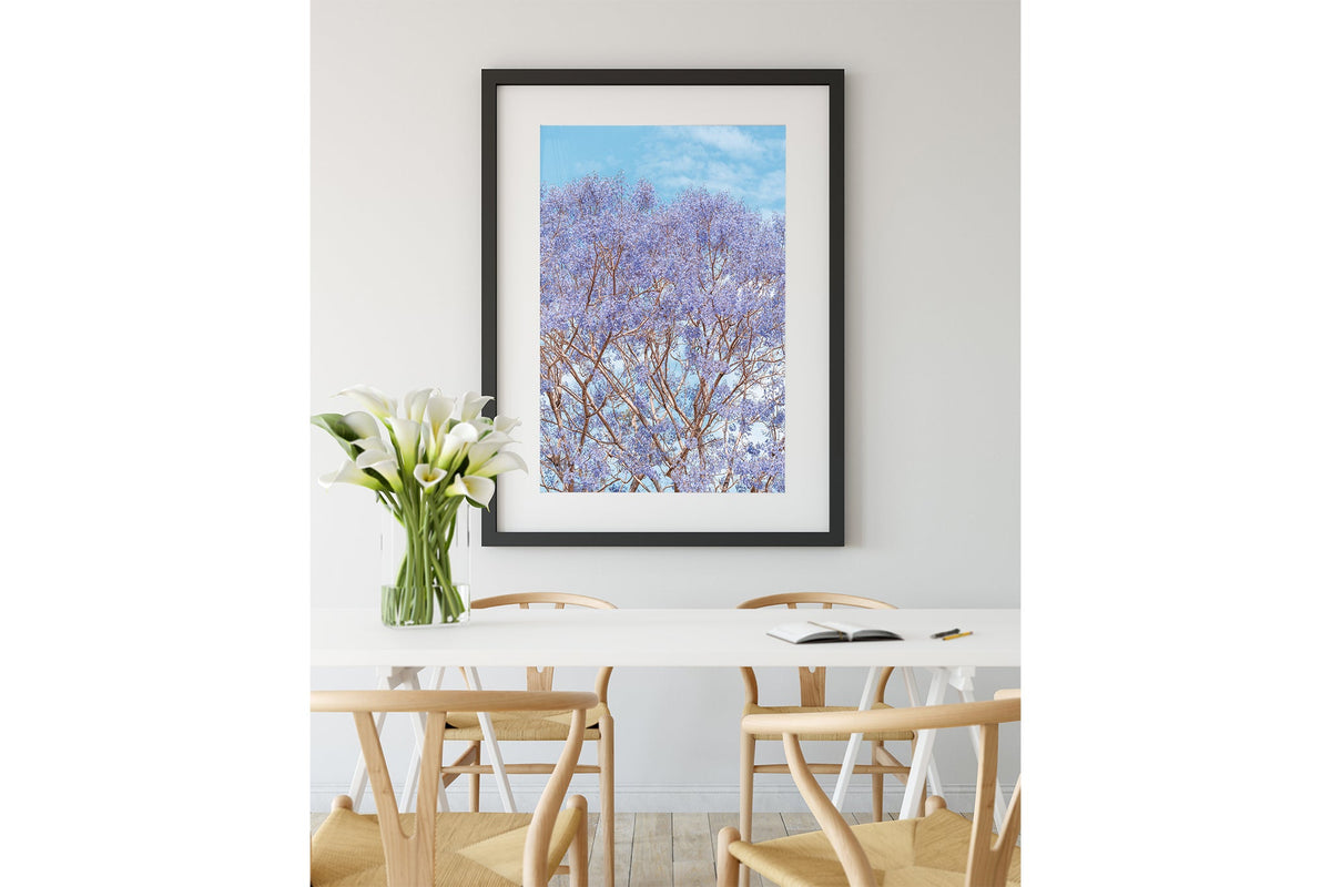 Jacaranda Dreams - Black Framed Print