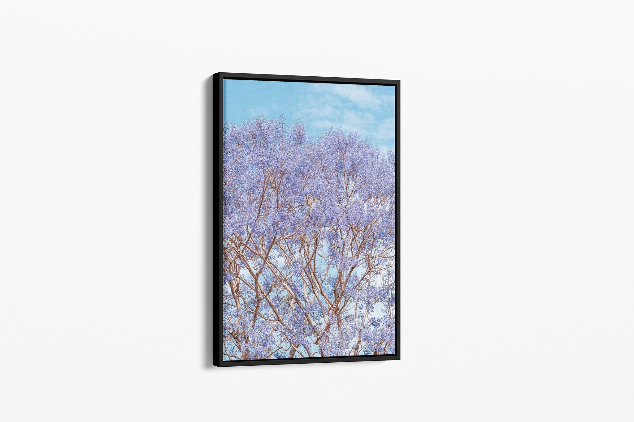Jacaranda Dreams - Canvas Float Frame Black