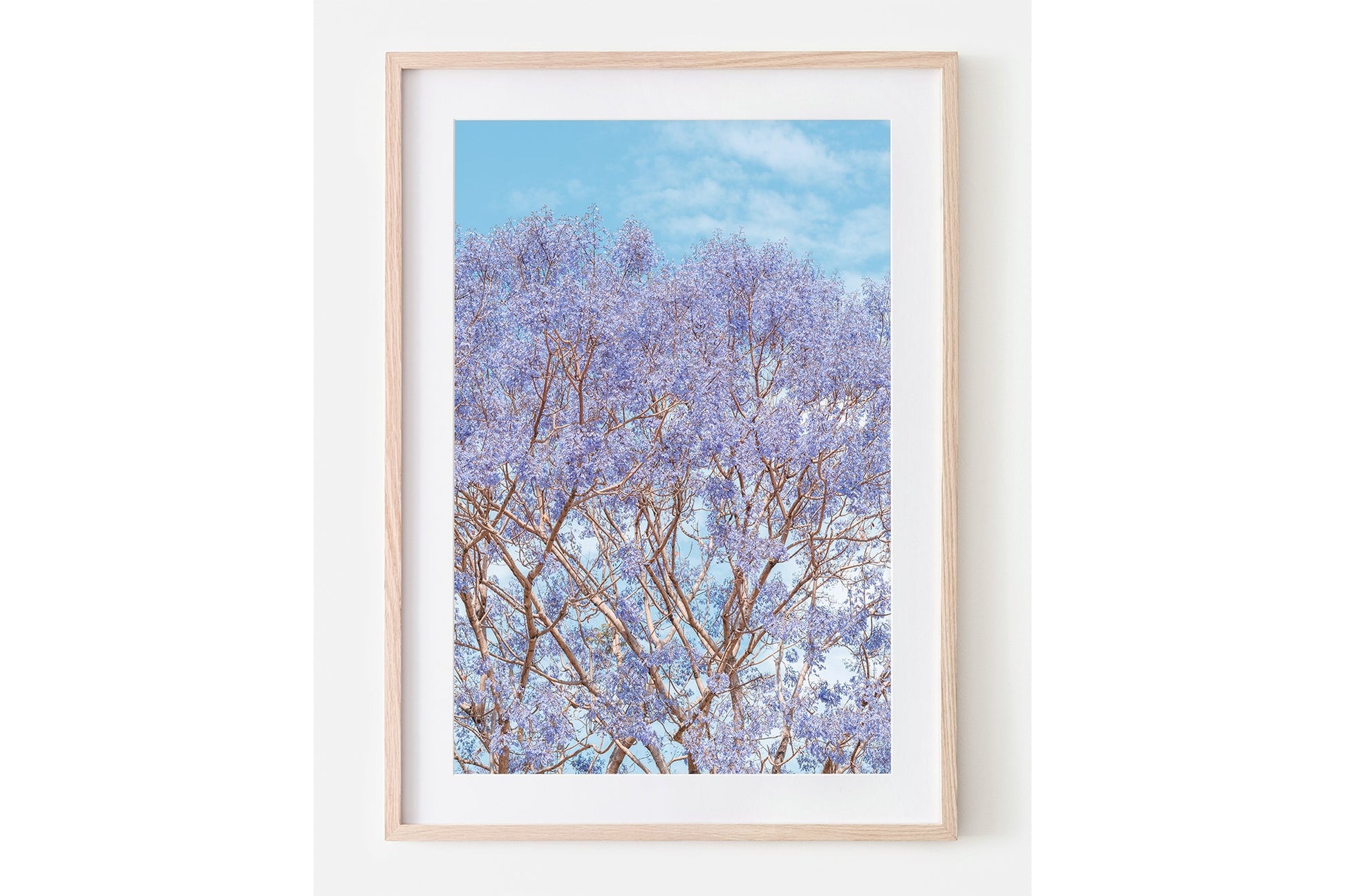 Jacaranda Dreams - Oak Framed Print