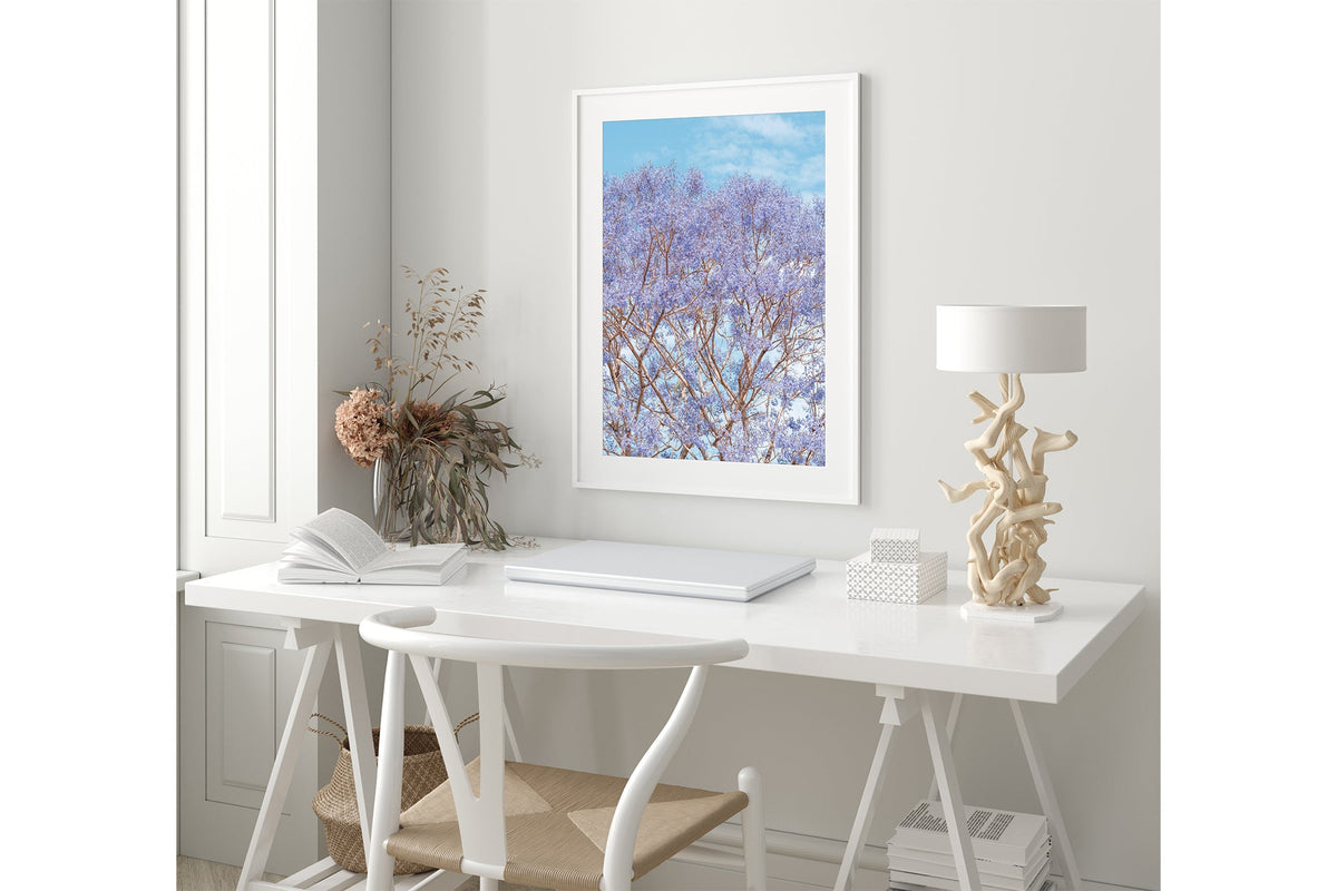Jacaranda Dreams - White Frame Coastal