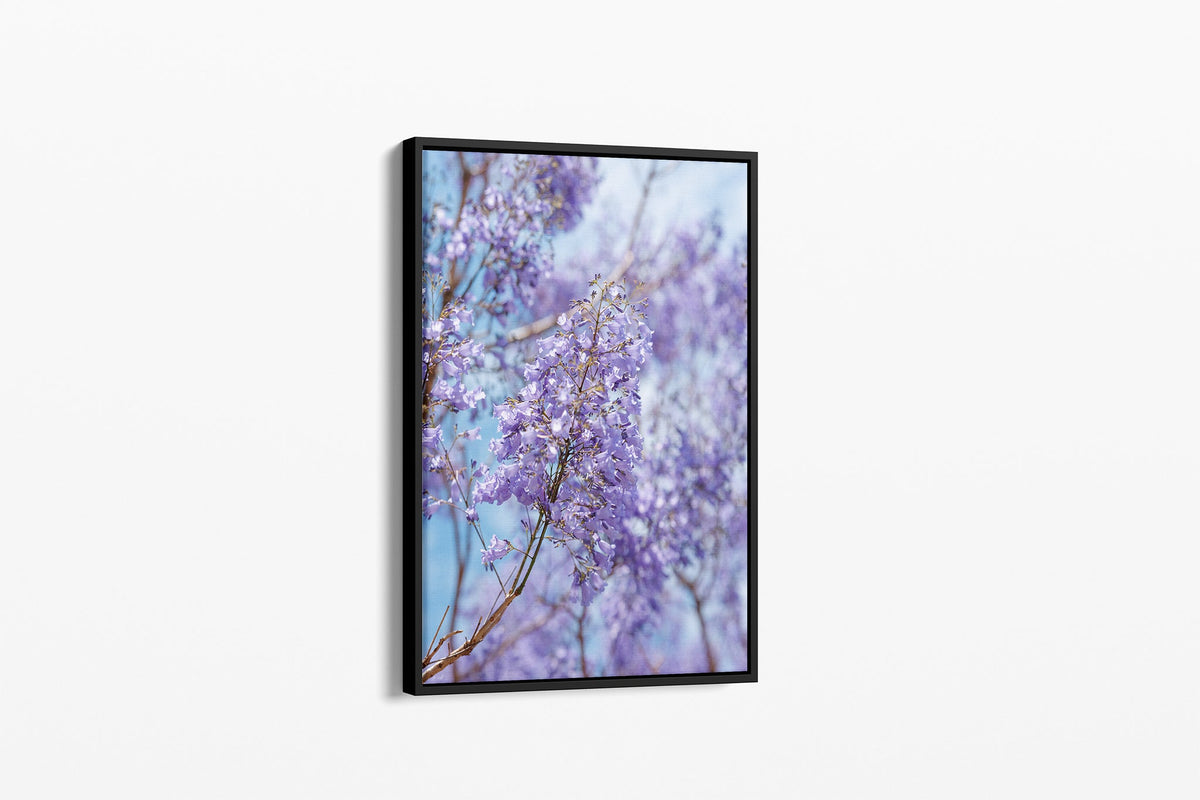 Lilac Sky - Canvas Float Frame Black