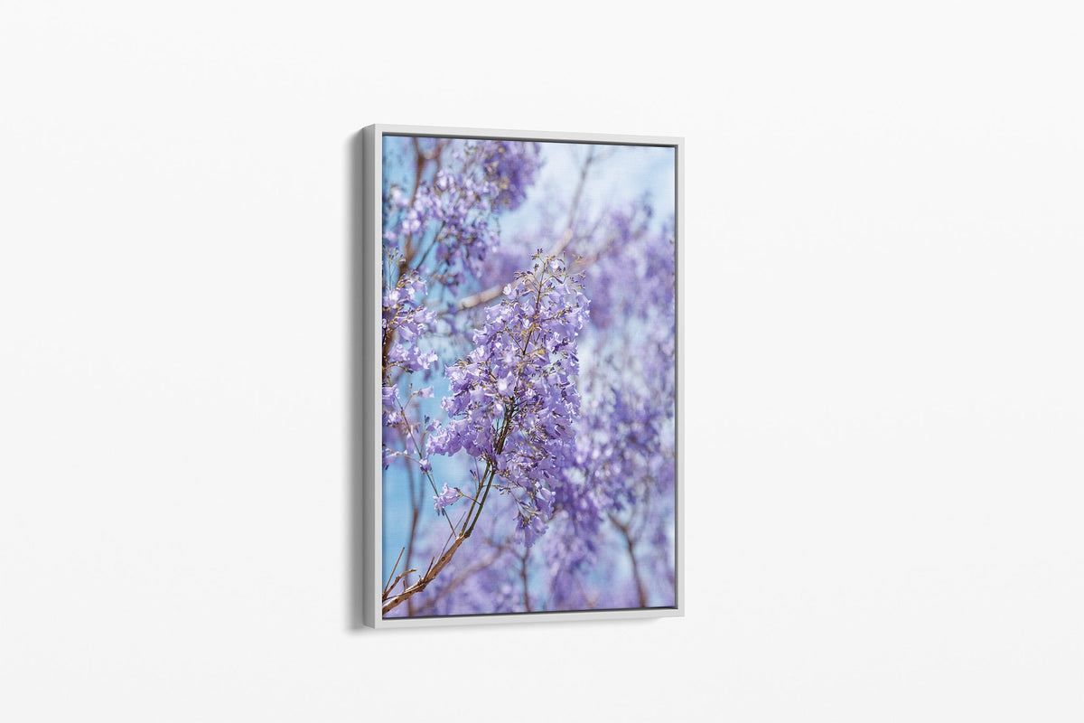Lilac Sky - Canvas Float Frame White