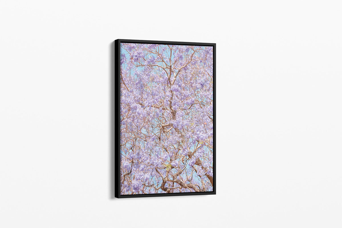 Violet Veil - Canvas Float Frame Black