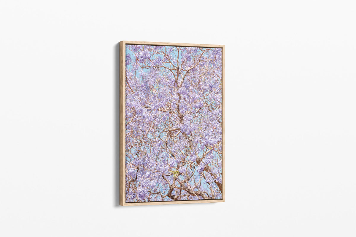 Violet Veil - Canvas Float Frame Oak