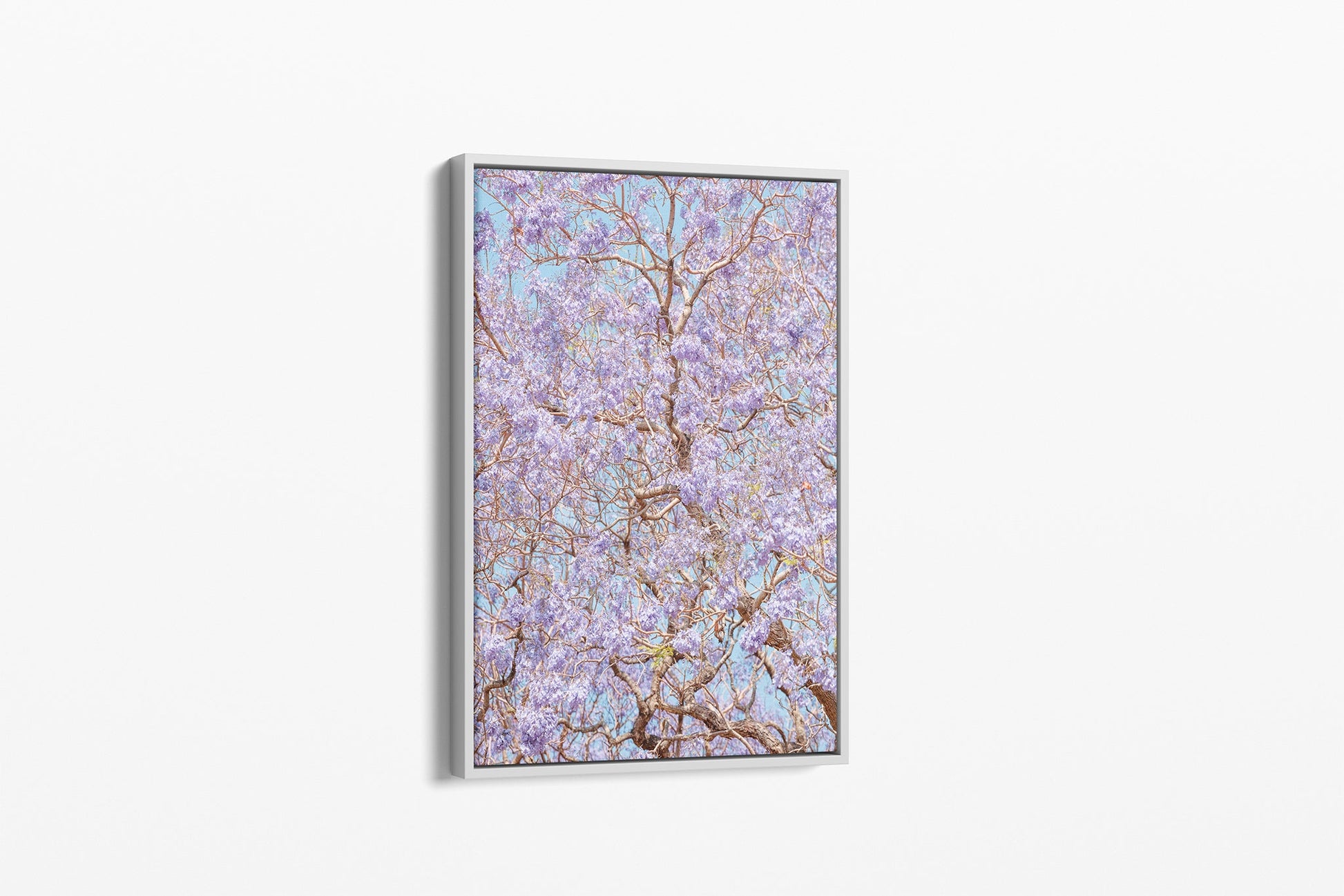 Violet Veil - Canvas Float Frame White