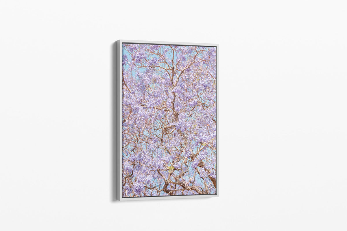 Violet Veil - Canvas Float Frame White
