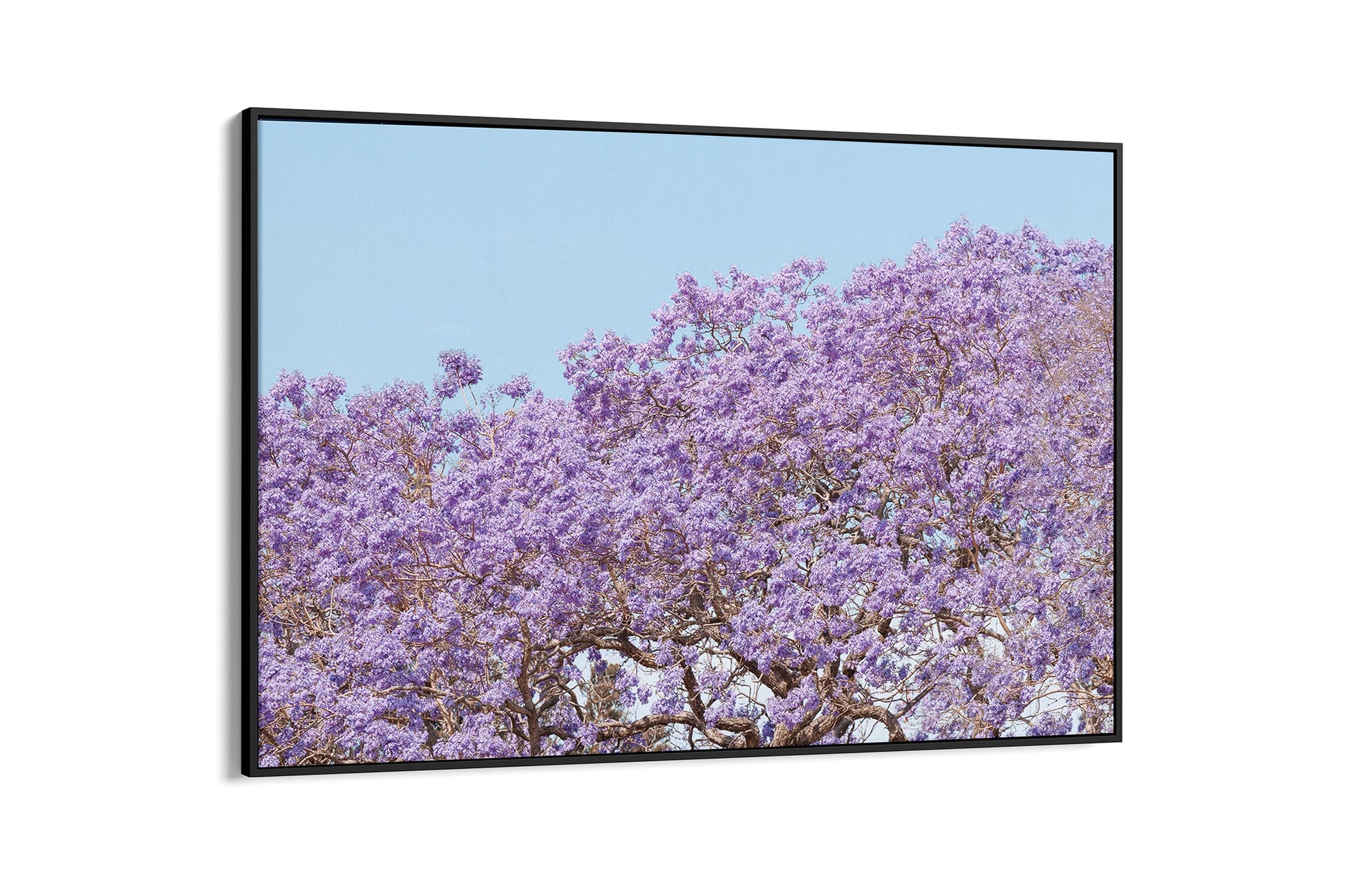 Violet Whisper - Float Frame Canvas Black