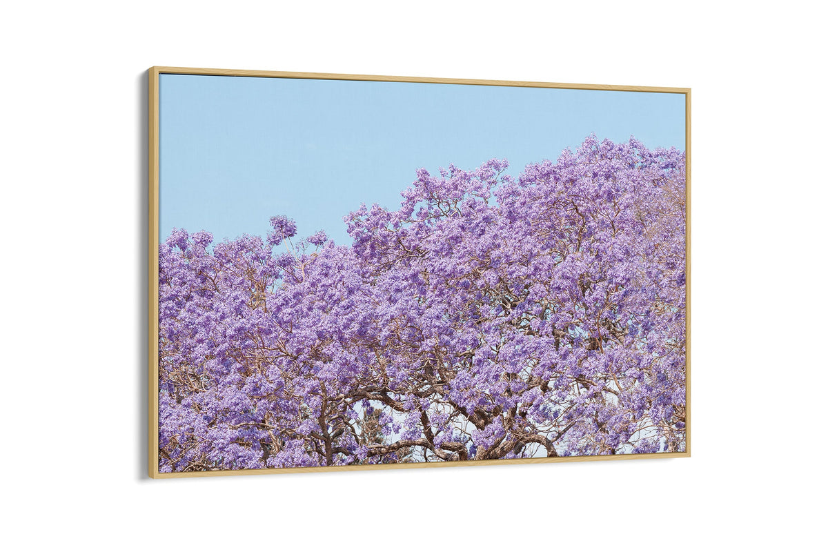 Violet Whisper - Float Frame Canvas Oak