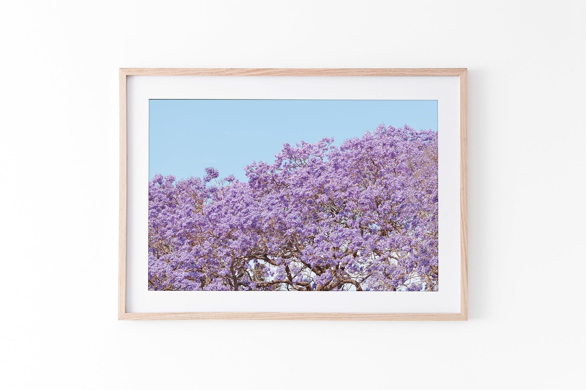 Violet Whisper - Oak Frame Standard