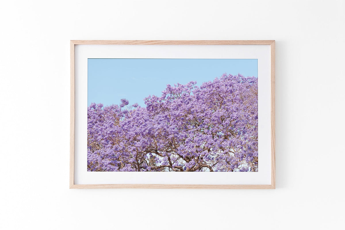 Violet Whisper - Oak Frame Standard