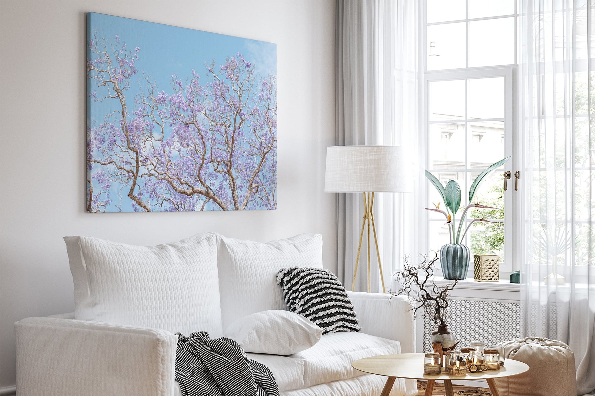 Soft Bloom - Canvas White Room