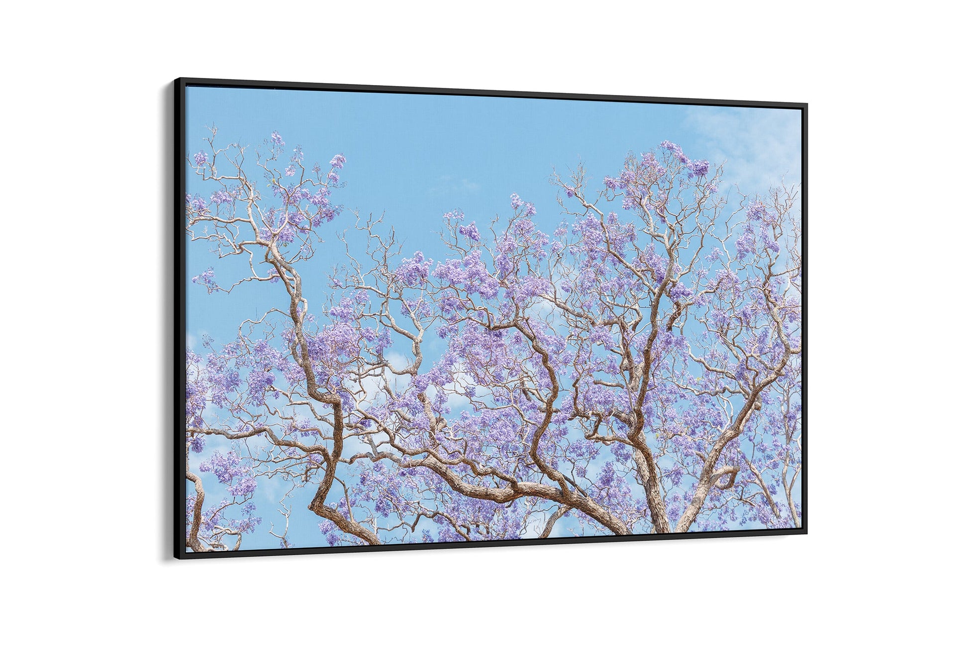 Soft Bloom - Float Frame Canvas Black