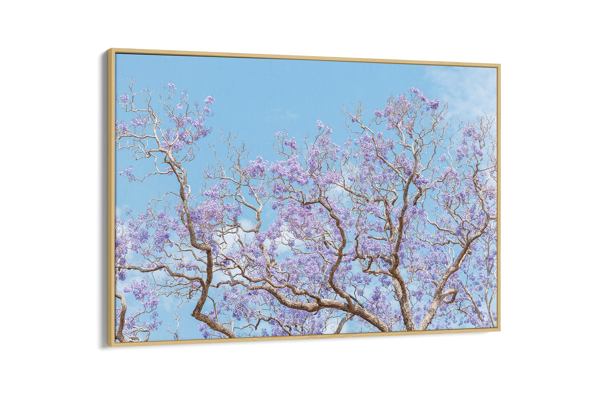 Soft Bloom - Float Frame Canvas Oak