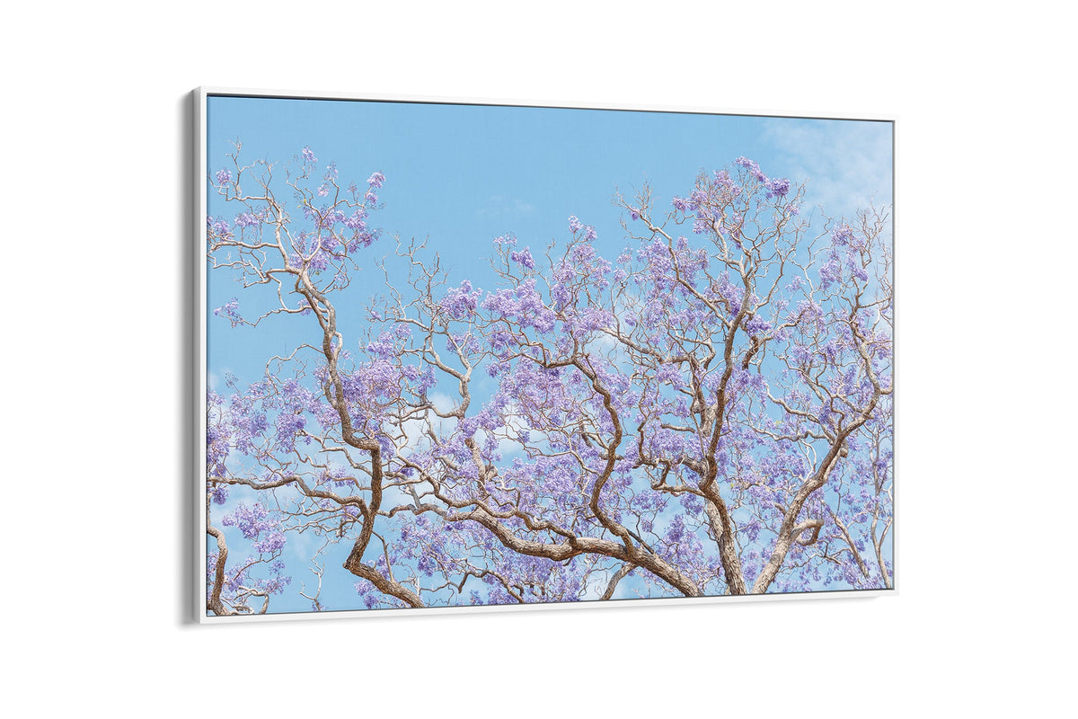 Soft Bloom - Float Frame Canvas White