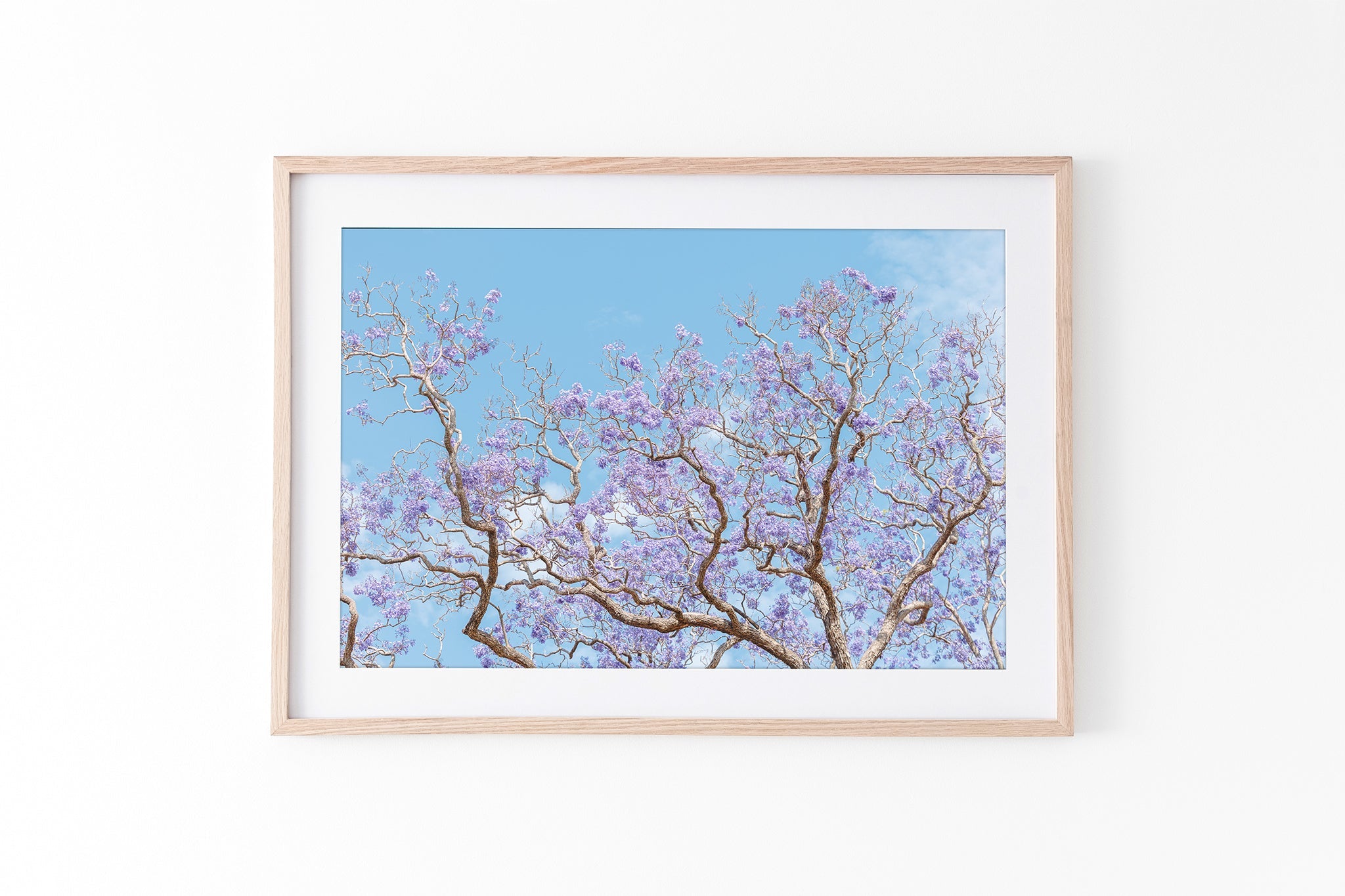Soft Bloom - Oak Frame Standard
