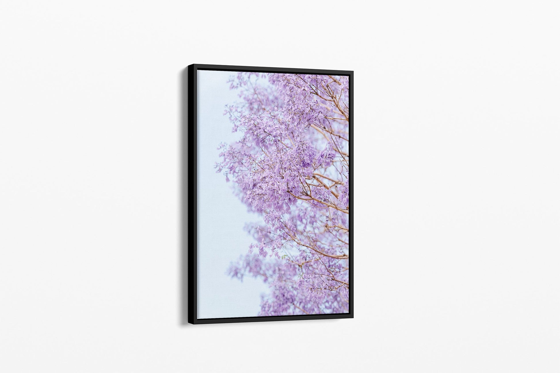 The Jacaranda Veil print shown as a black float-frame canvas.