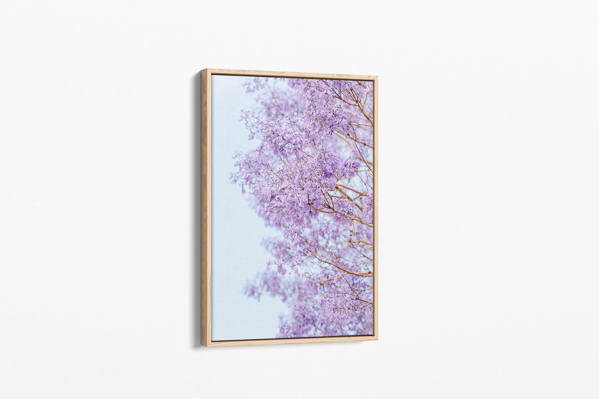 The Jacaranda Veil print shown as an oak float-frame canvas.