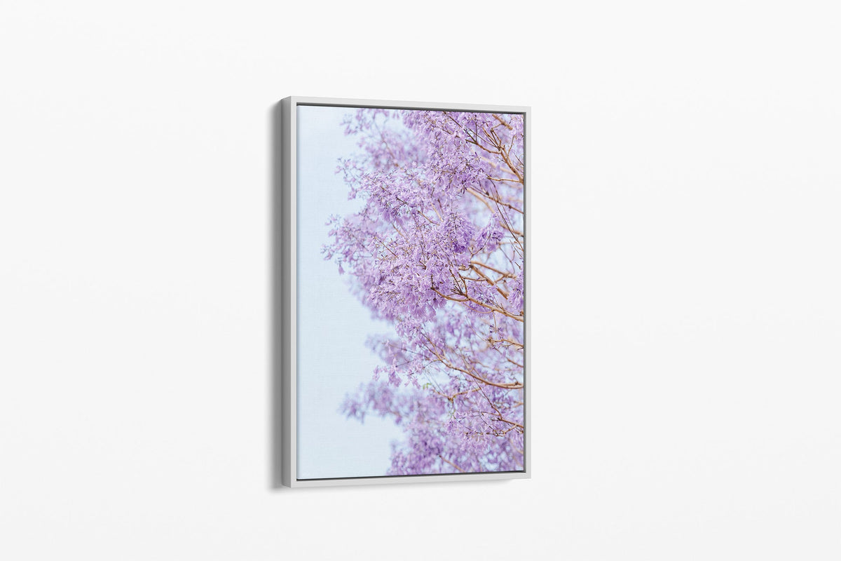 The Jacaranda Veil print shown as a white float-frame canvas.