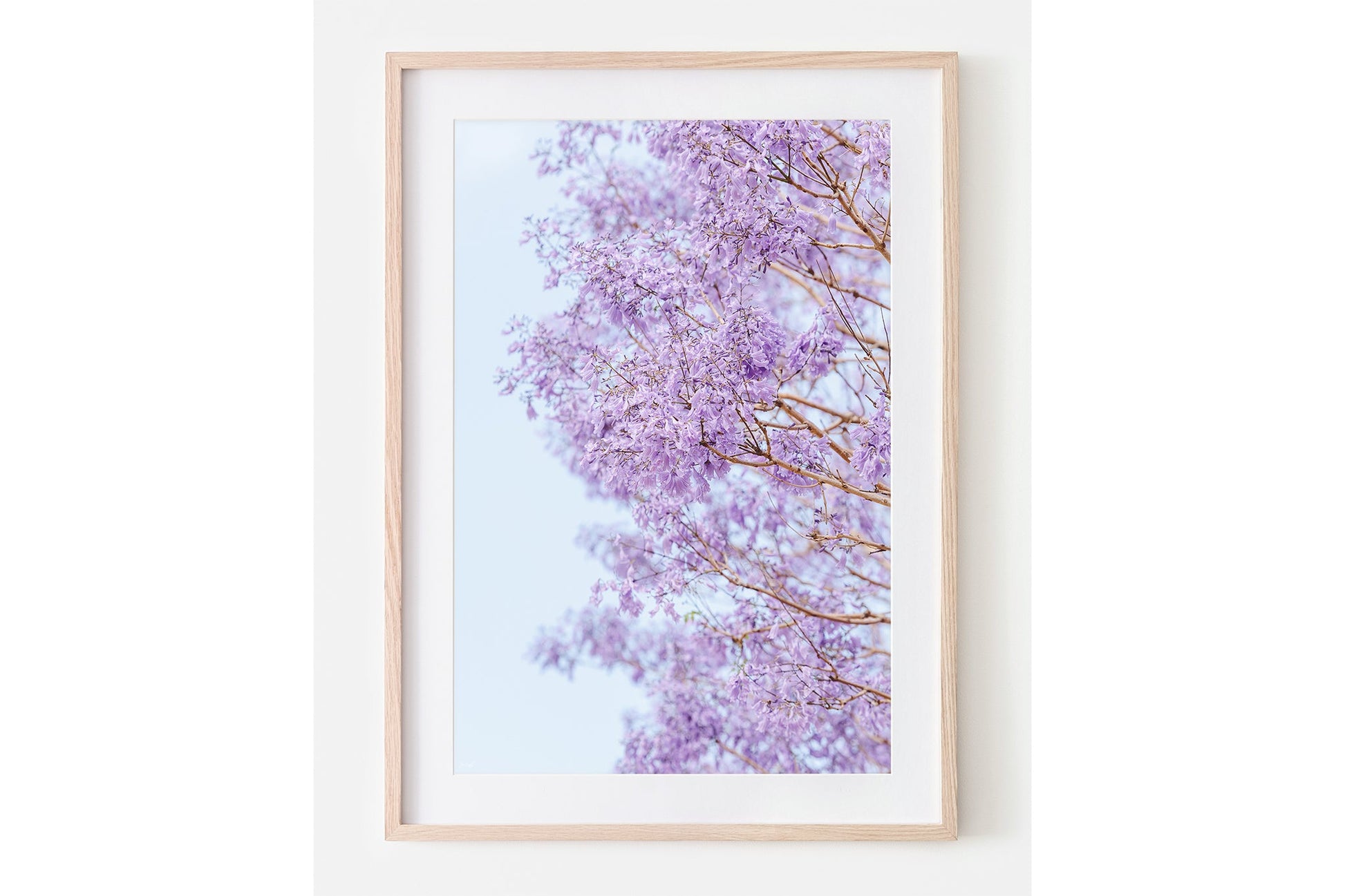 The Jacaranda Veil print shown framed in oak.