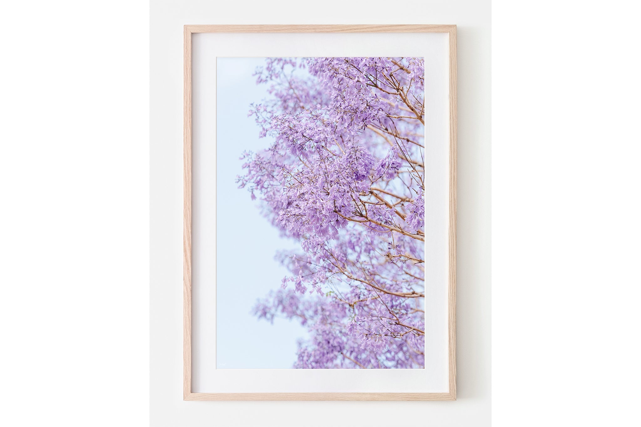The Jacaranda Veil print shown framed in oak.