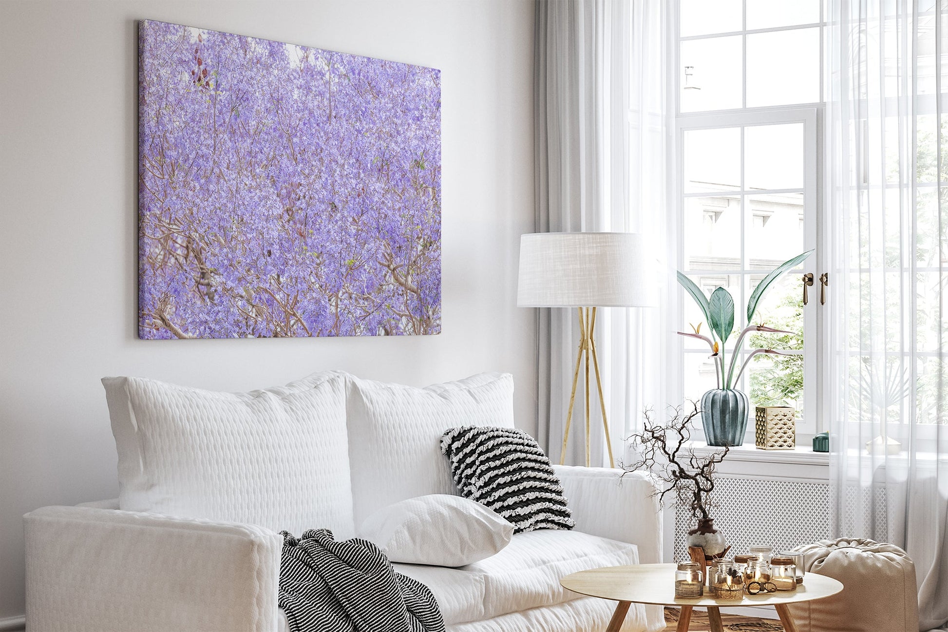 Purple Haze - Canvas White Room