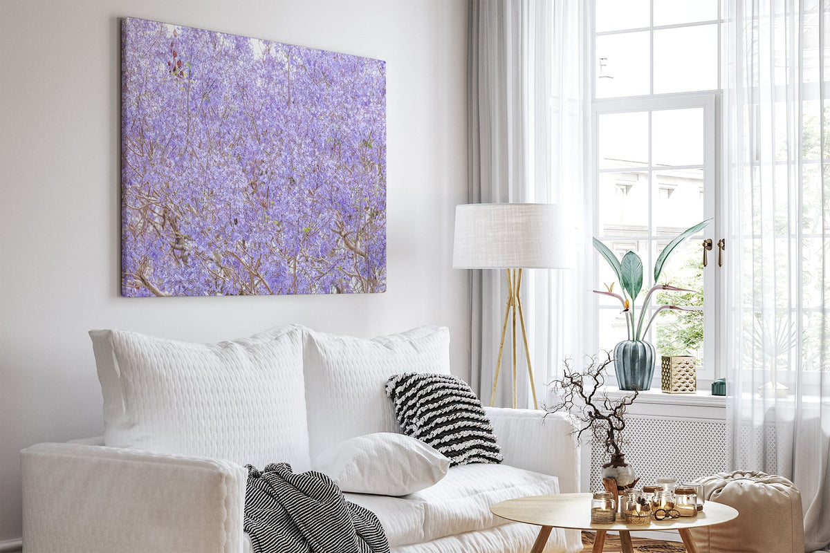 Purple Haze - Canvas White Room