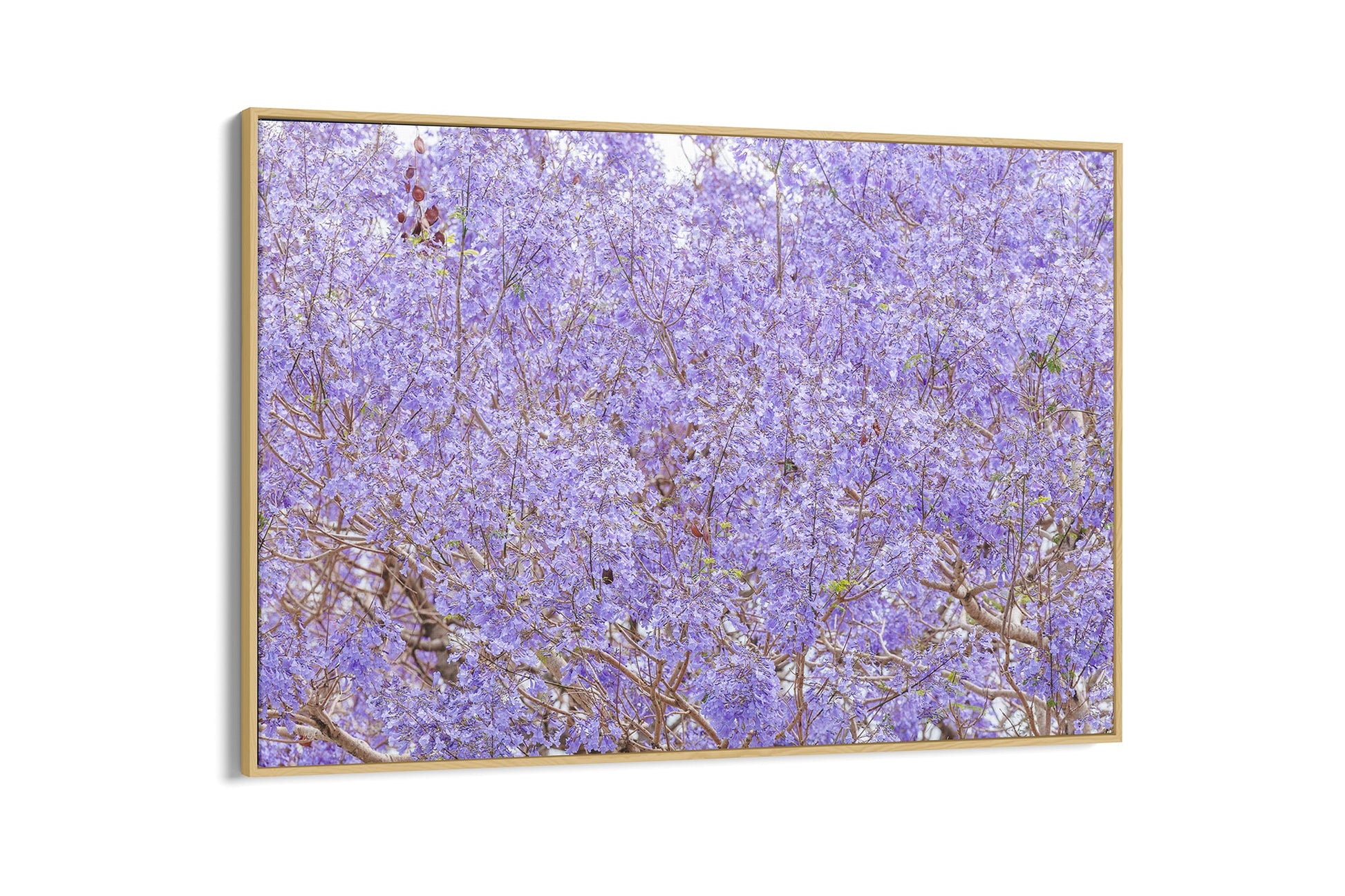 Purple Haze - Float Frame Canvas Oak