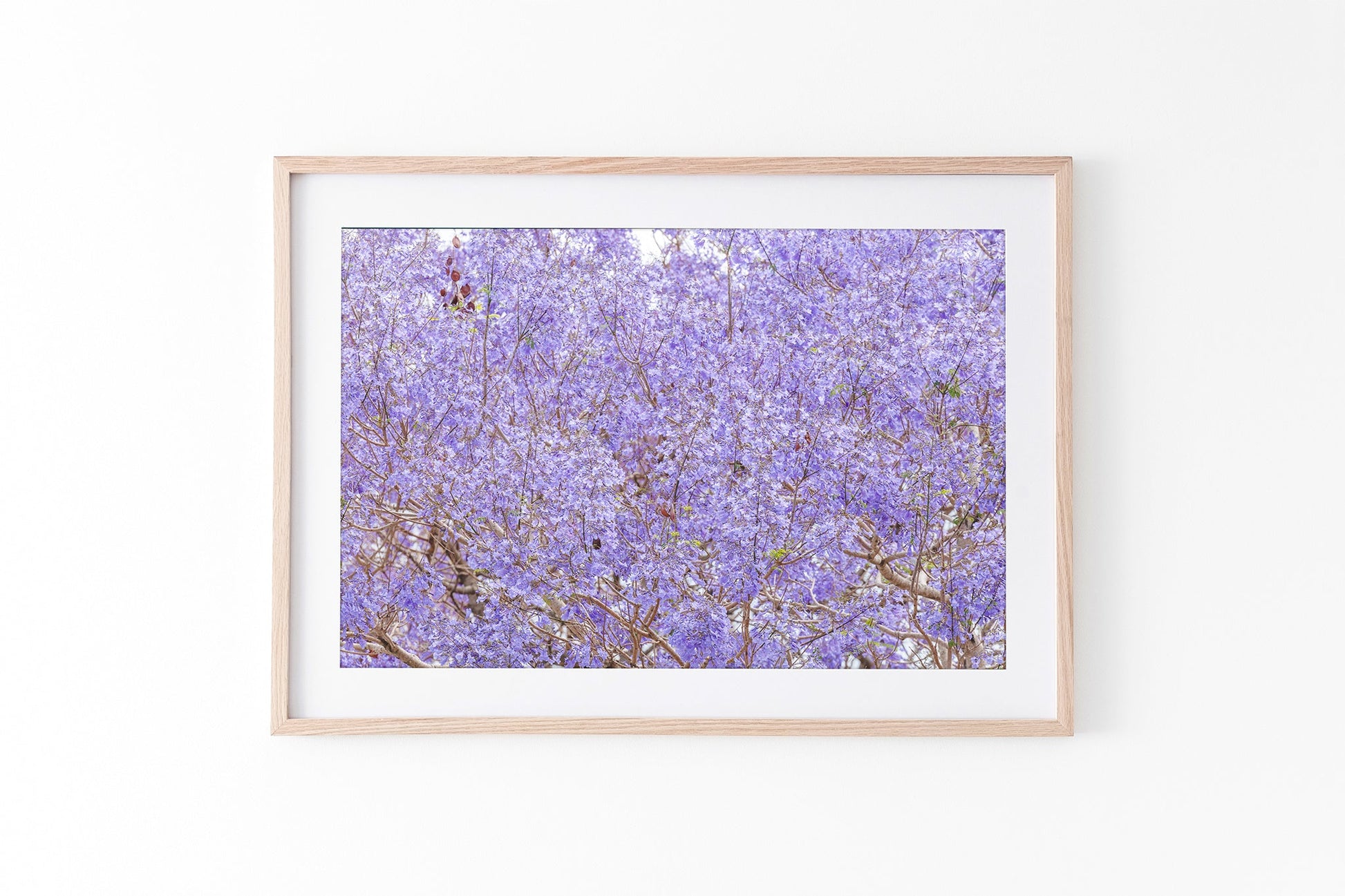 Purple Haze - Oak Frame Standard