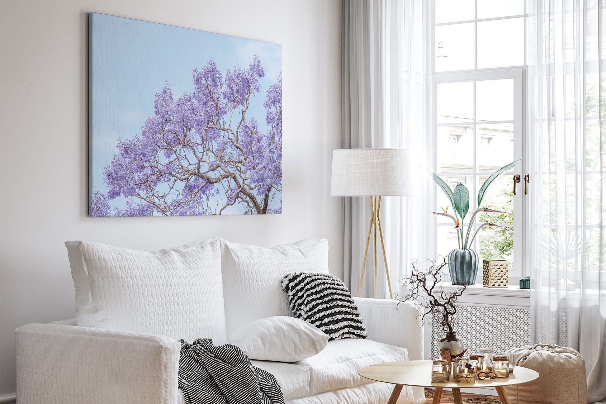 Blossom Study - Canvas White Room