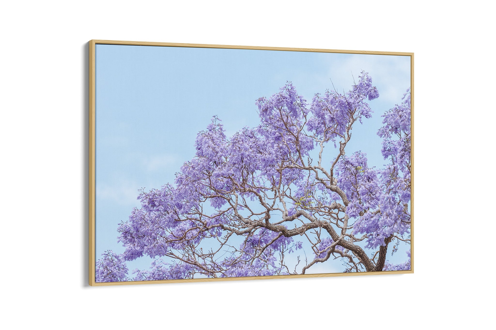Blossom Study - Float Frame Canvas Oak