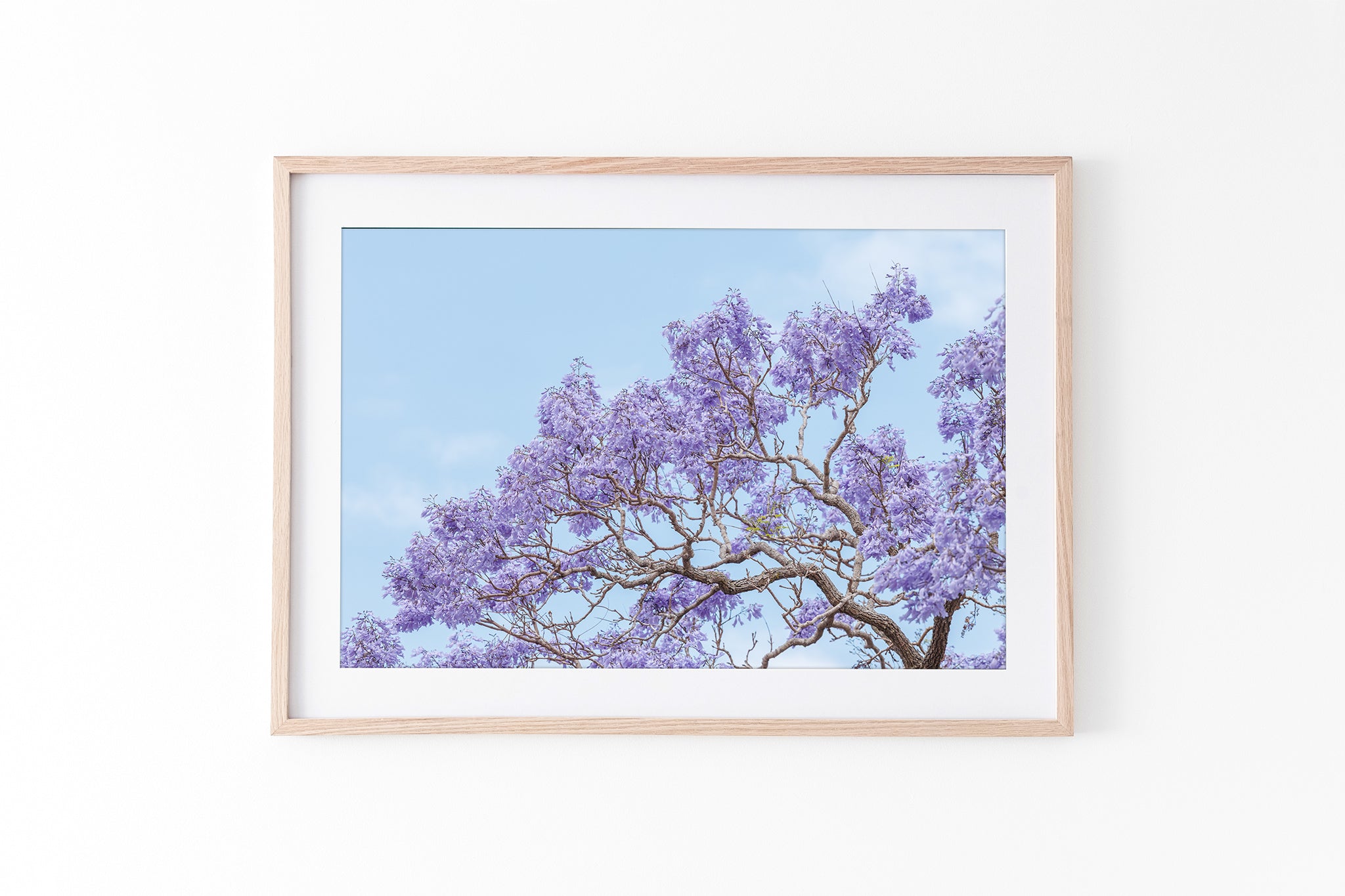 Blossom Study - Oak Frame Standard