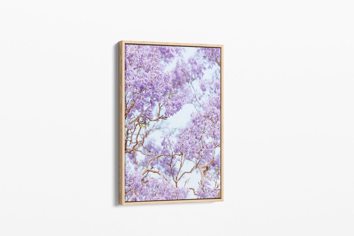 The Purple Canopy print shown as an oak float-frame canvas.