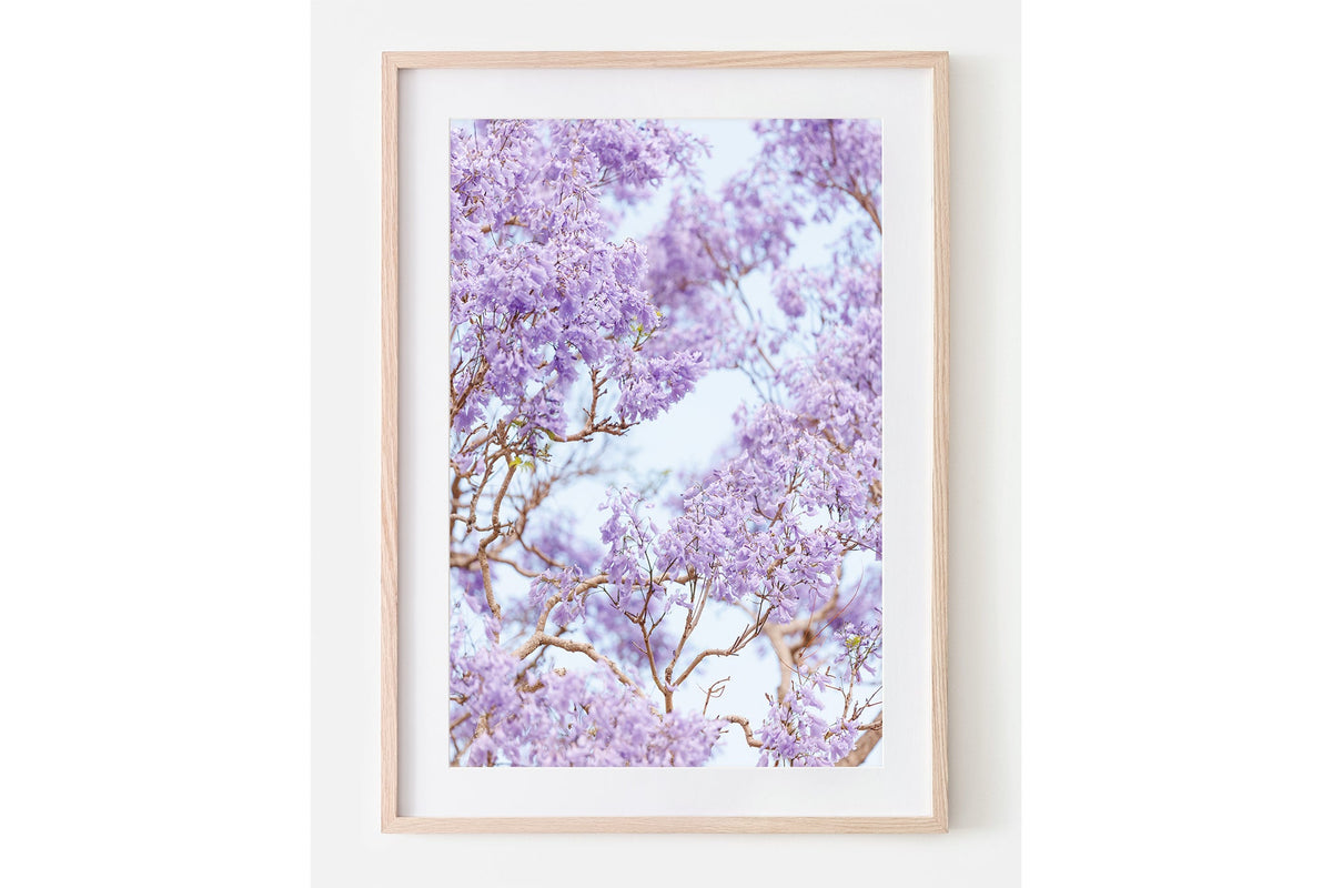 The Purple Canopy print shown framed in oak.