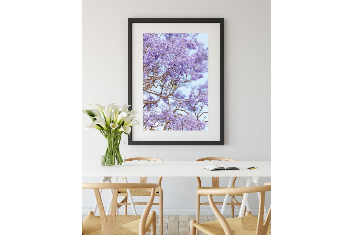 Lavender Bloom - Black Framed Print